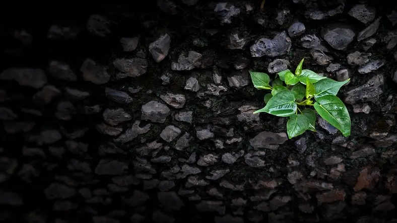 Mayor enfoque en sostenibilidad y minería verde