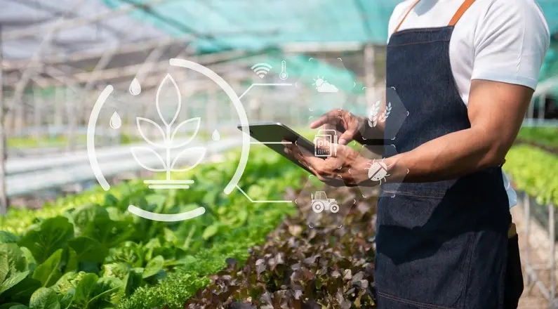 La relación entre agroindustria e innovación tecnológica