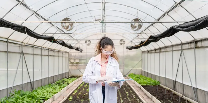 ¿Cómo los profesionales en agroindustria transforman la producción de alimentos?