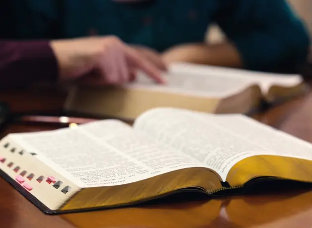 Persona leyendo libros antiguos