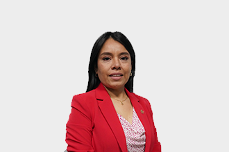 Diana Yessenia Fernández Santos