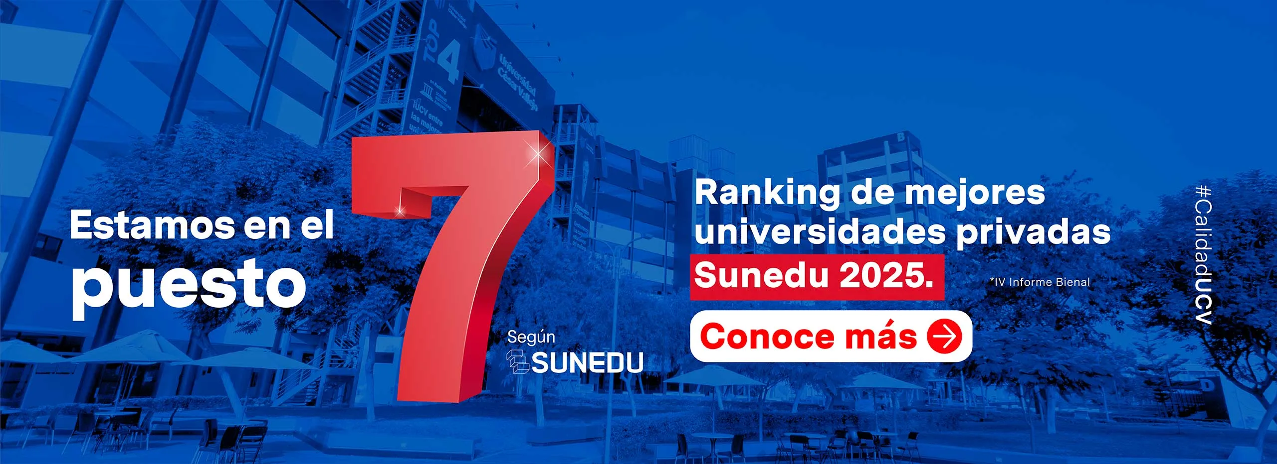 Top 7