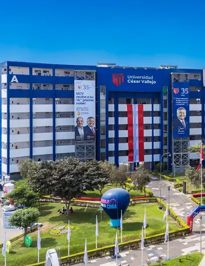 Los Olivos