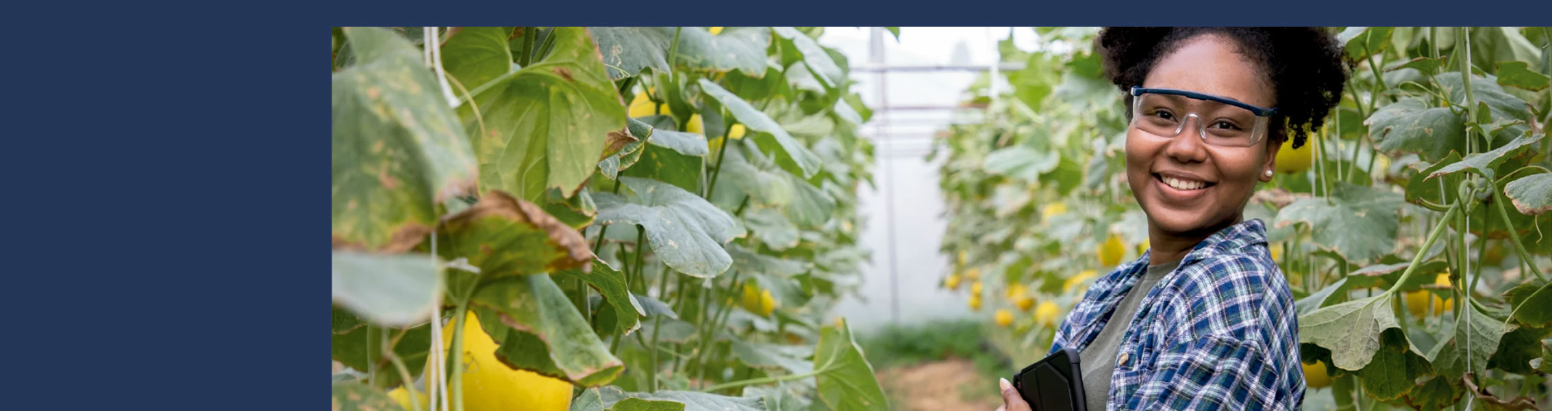 Ingeniería Agroindustrial I UCV