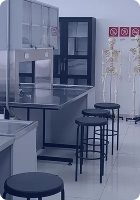 Fondo Alfa Pre Médica