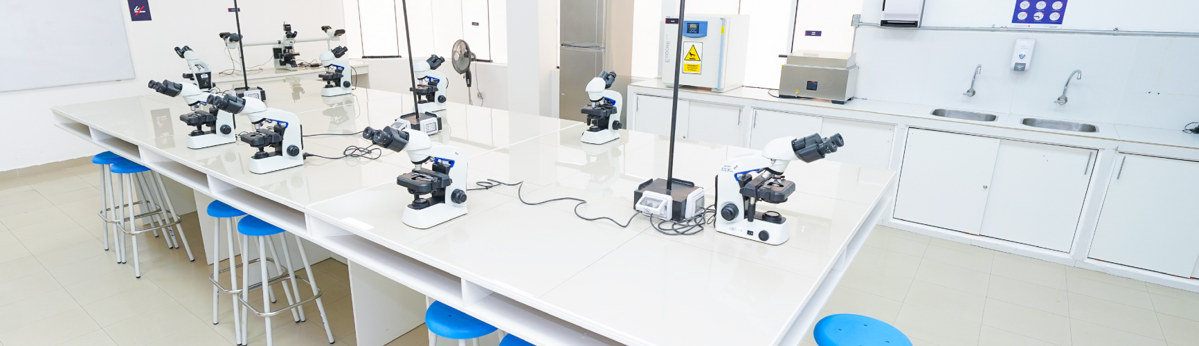 Laboratorio de histología I UCV