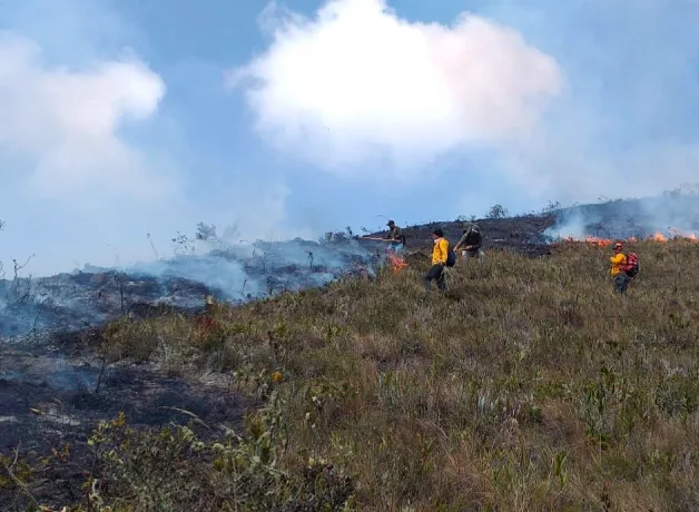 incendios-forestales-en-peru-2024 incendios-forestales-en-peru-2024