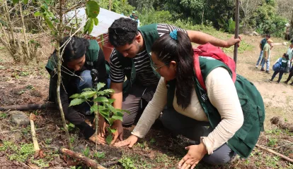 UCV Moyobamba: estudiantes participan en campaña de reforestación y concientización ambiental