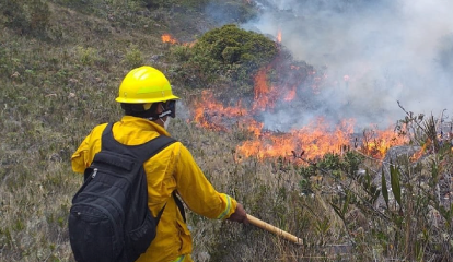 incendios-arrasan-mas-de-mil-hectareas