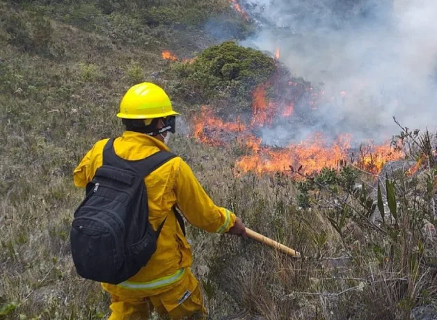 incendios-arrasan-mas-de-mil-hectareas incendios-arrasan-mas-de-mil-hectareas