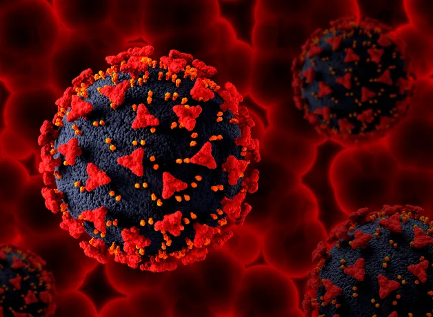 virus-hmpv-representa-un-peligro virus-hmpv-representa-un-peligro