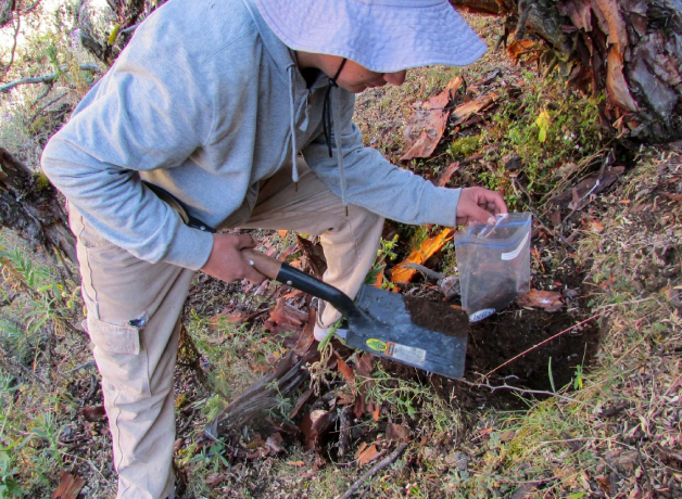 proyecto-lomas-costeras-ciencia-y-biodiversidad