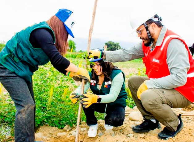 vallejianos-lideran-jornada-de-reforestacion-moche