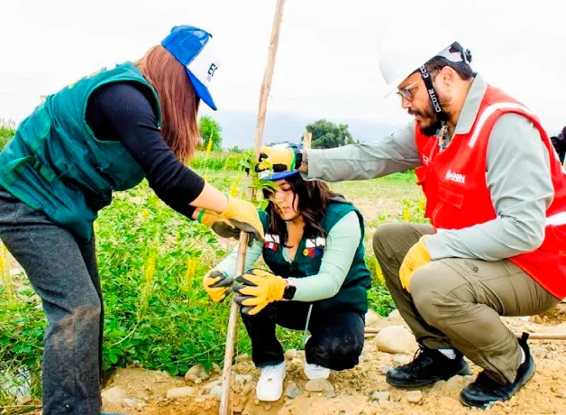 vallejianos-lideran-jornada-de-reforestacion-moche