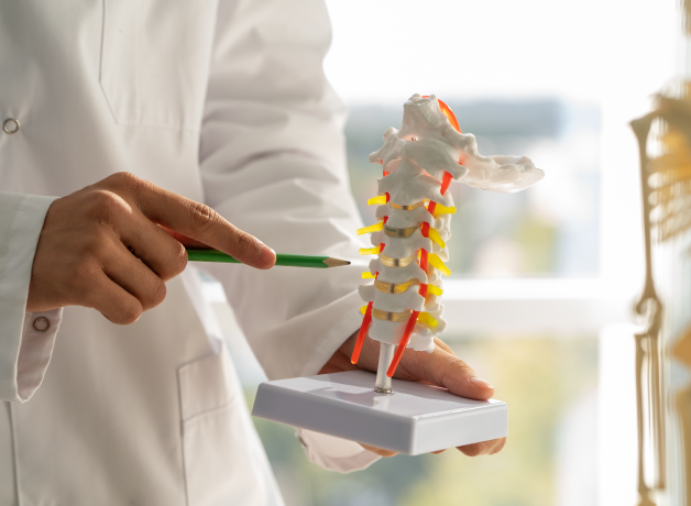 osteoporosis-en-adultos-mayores osteoporosis-en-adultos-mayores