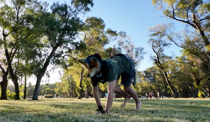 theriantropia-una-forma-de-identidad