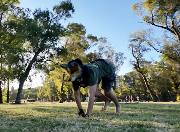 theriantropia-una-forma-de-identidad theriantropia-una-forma-de-identidad