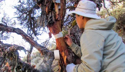 Vallejianos logran reconocimiento Renacyt por investigación sobre Lomas Costeras