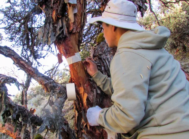 vallejianos-logra-reconocimiento-renacyt vallejianos-logra-reconocimiento-renacyt