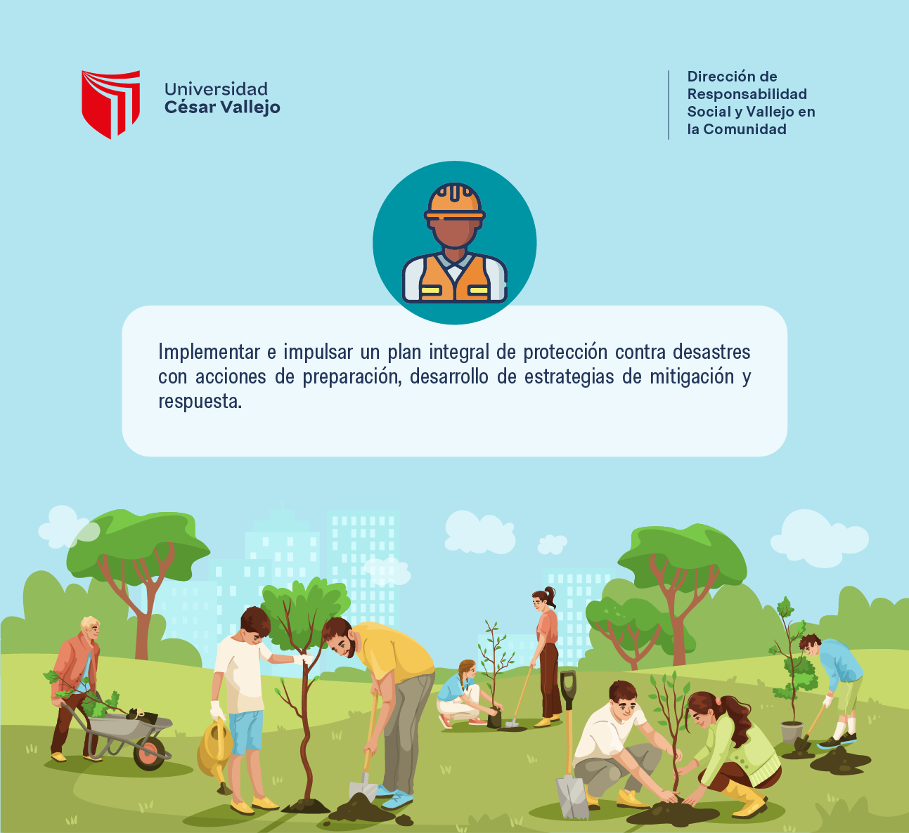 Politicas 10