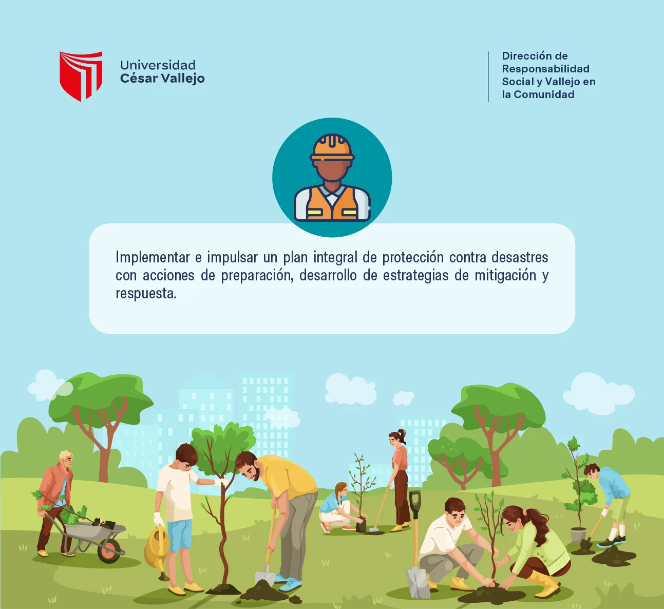 Politicas 10